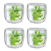 ZWILLING | 4-pc Tea Glass Set, Double Wall | Sorrento