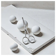 ZWILLING | Ear And Nose Hair Scissors - Matt Stainless Steel | TWINOX