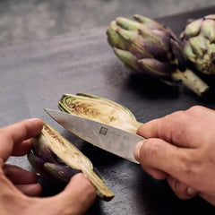 ZWILLING | 4-inch, Paring Knife | 1731
