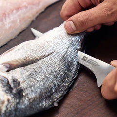 ZWILLING | 5.5-inch, Flexible Boning Knife | Pro