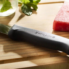 ZWILLING | 10-inch, Carving Knife | Commercial Precision