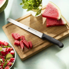 ZWILLING | 10-inch, Carving Knife | Commercial Precision