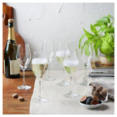 ZWILLING | 9.5-oz / 6-pc  Champagne Set | Prédicat Glassware