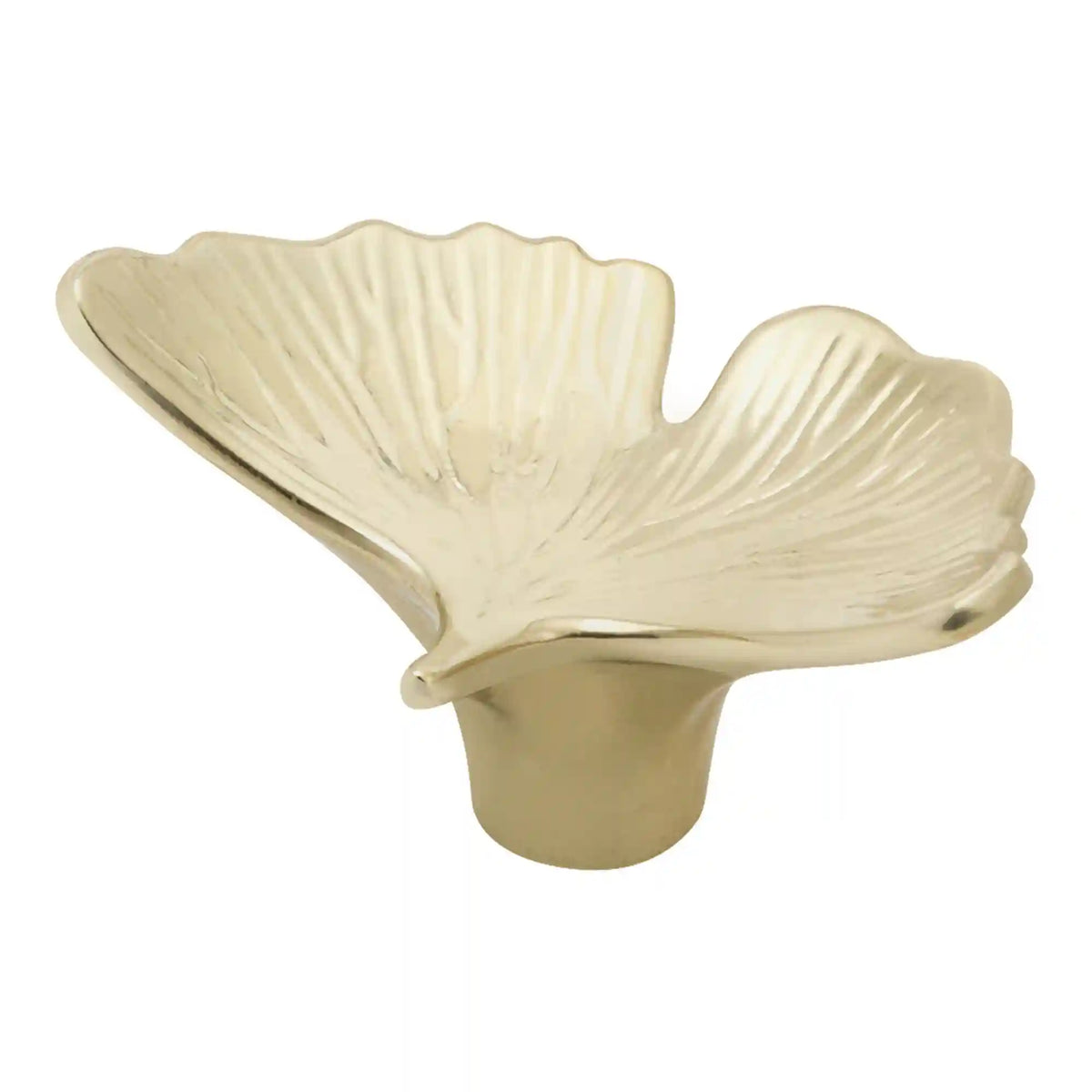 Staub | Ginkgo Knob